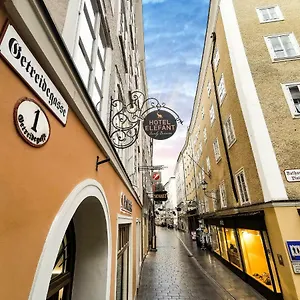 Elefant Family Business Salzburg